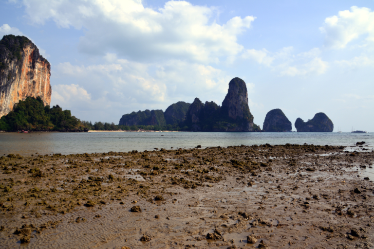 Exploring the Mornington Peninsula: A Coastal Escape in Victoria