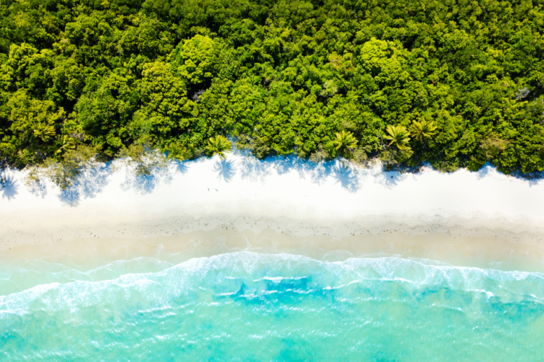 Adventures in Queensland’s Tropical North