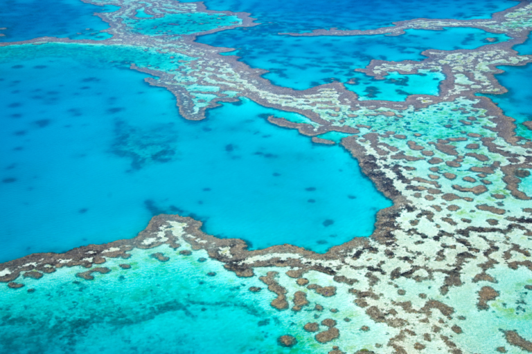 Great Barrier Reef Islands: Which One to Choose?