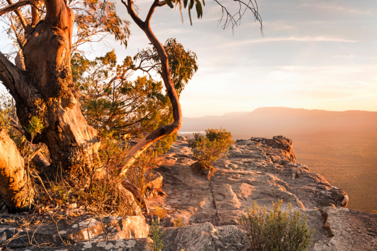 Discovering Australia’s Best Street Art