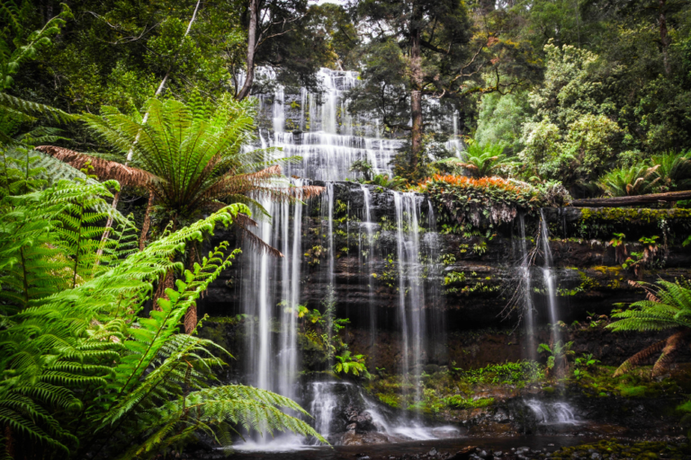 Australia’s Top Waterfalls to Visit