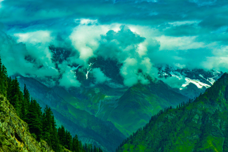 Exploring the Yarra Valley: Wine and More