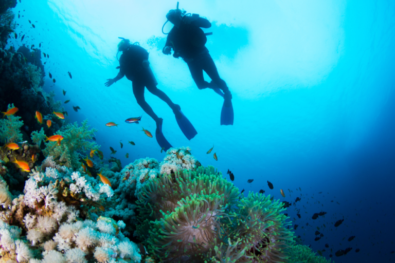 Best Places for Scuba Diving in Australia: Dive into the Underwater Paradise