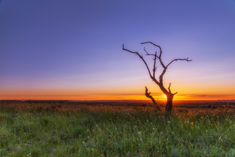 Australia’s Most Beautiful Sunsets: Where to Watch