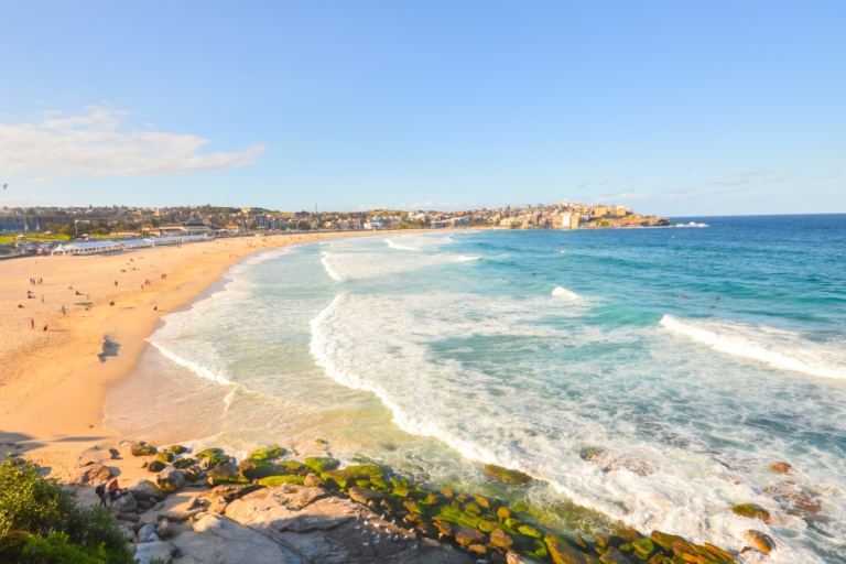 A Guide to Surfing on Bondi Beach