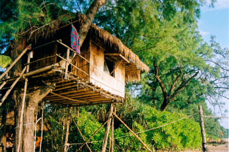 Unique Places to Stay in Australia: From Glamping to Treehouses