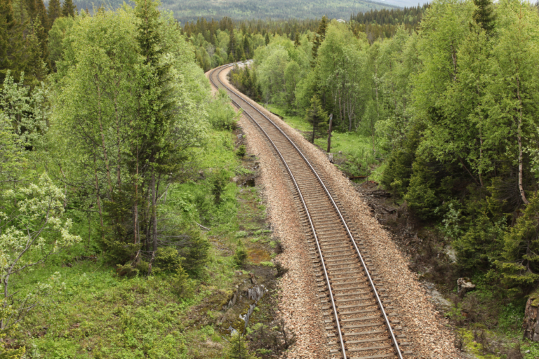 Best Ways to Travel the Norwegian Scenic Railways