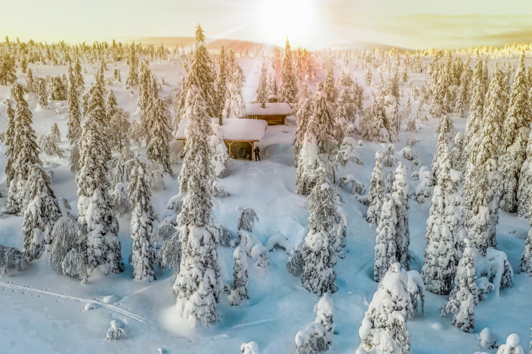 Lapland in Summer: Wildlife and Midnight Sun in Sweden
