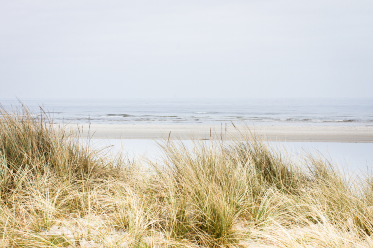 The Best Beaches in Denmark
