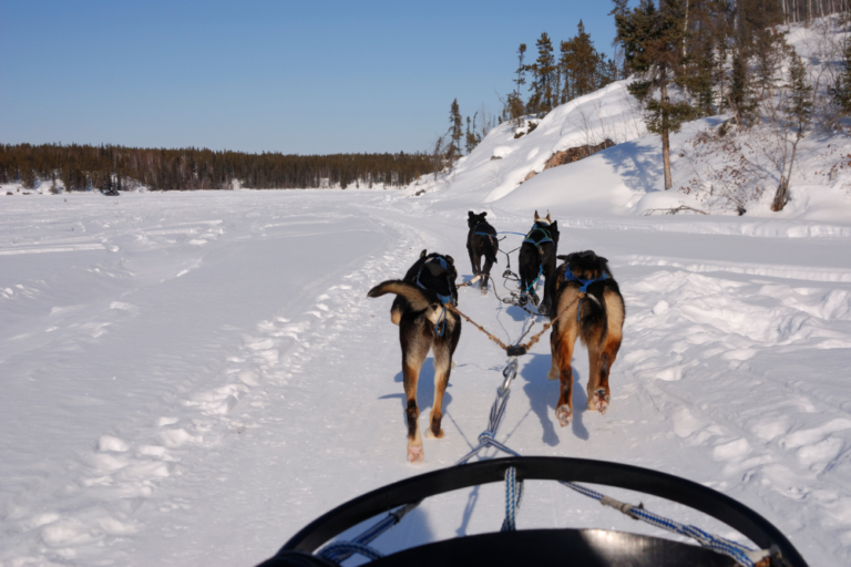 Dog Sledding in the Arctic Circle: Finland’s Winter Adventures