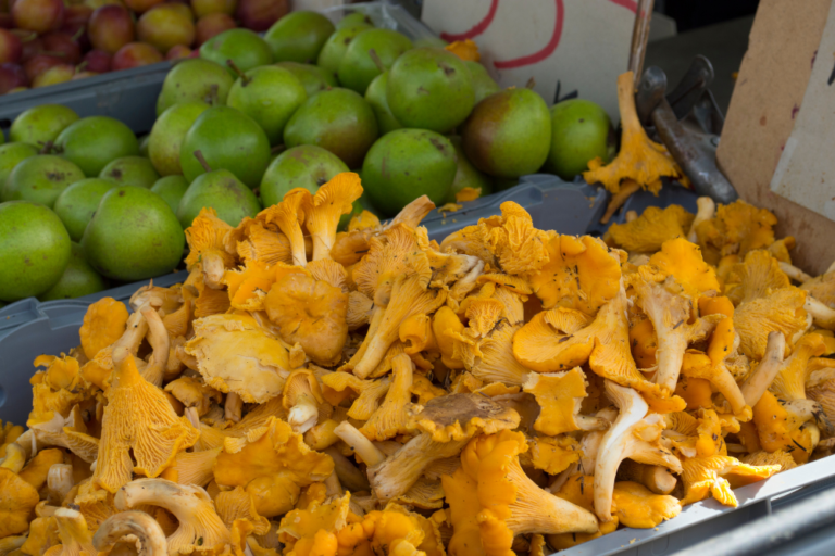 Food Markets in Scandinavia: A Culinary Adventure