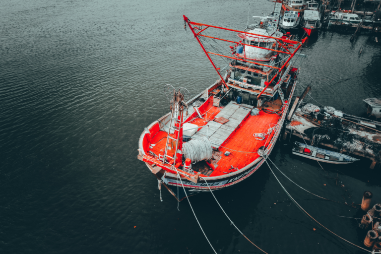 The Best Fishing Destinations in Malaysia