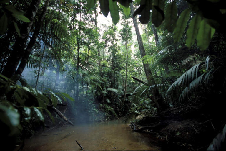 The Best Hot Springs and Wellness Retreats in Victoria