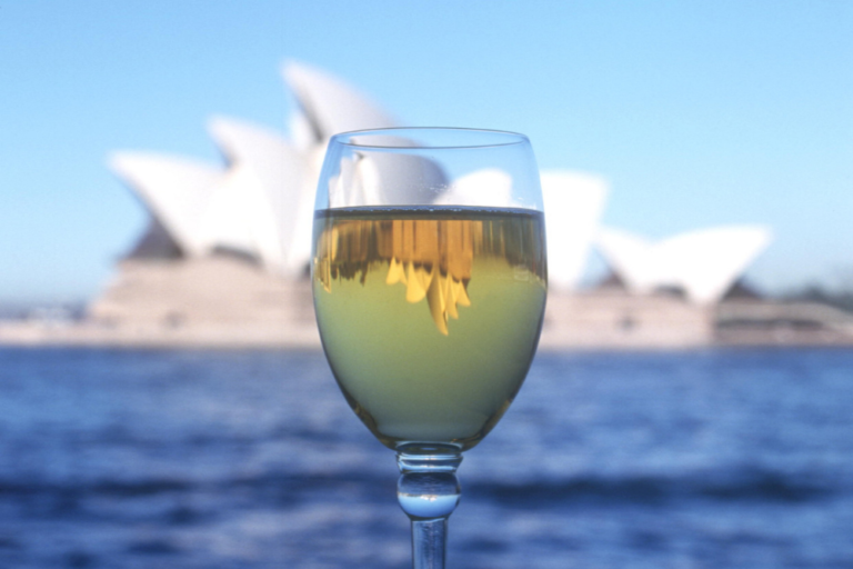 Exploring the Scenic Rim: A Hidden Gem Near Brisbane