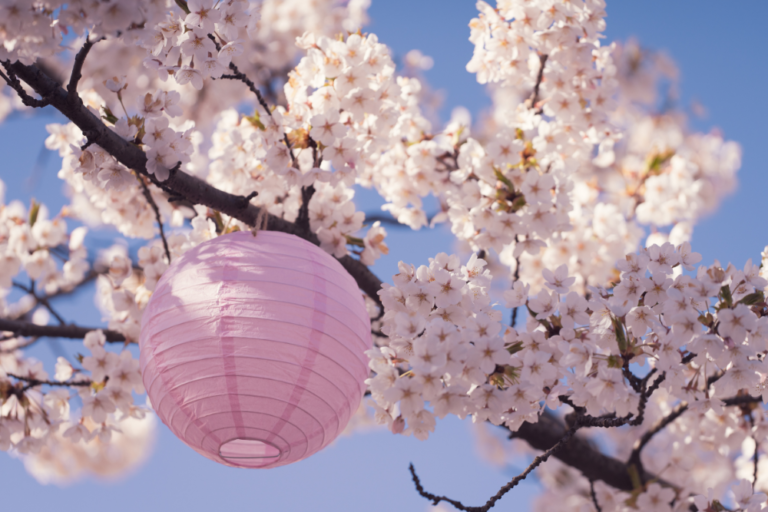 Japan’s Most Romantic Cherry Blossom Viewing Spots for Couples