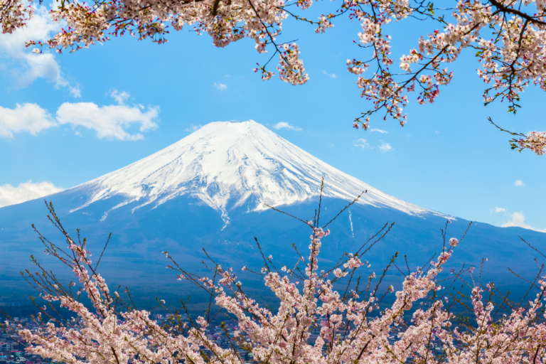 Where to Find the Most Scenic Views of Mount Fuji Near Tokyo