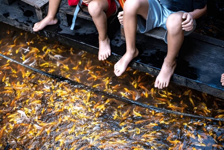 Offbeat Singapore: Unconventional Experiences for Adventurers