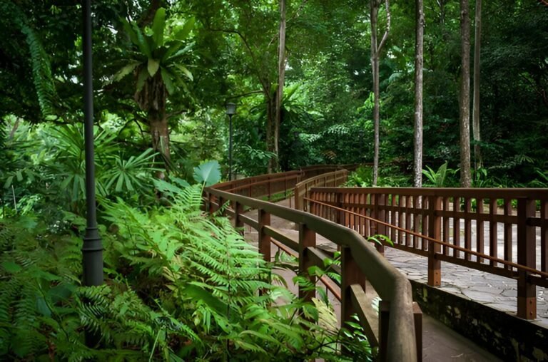The Best Places for Birdwatching in Singapore’s Natural Reserves