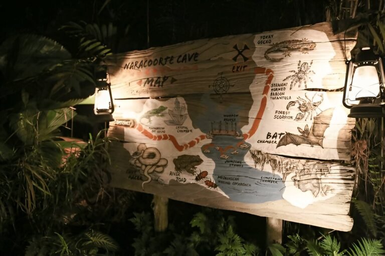 The Night Safari in Singapore