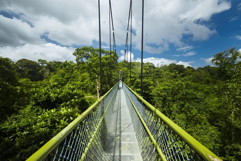 Discovering the Green Heart of Singapore