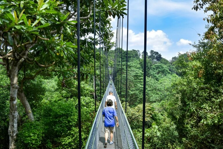 Experience the Thrill of Singapore’s Best Adventures