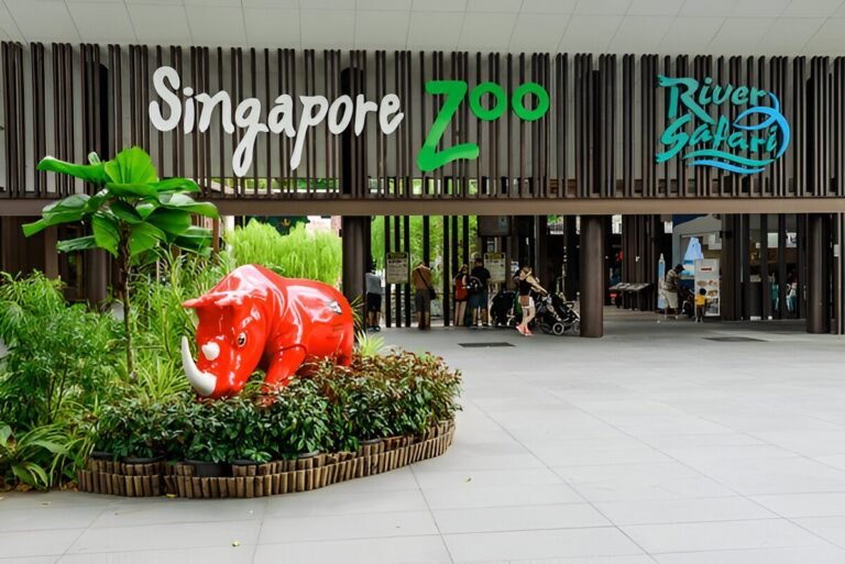 Family-Friendly Attractions in Singapore for an Unforgettable Vacation
