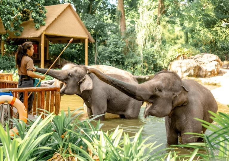 Singapore’s Wildlife Encounters: The Best Nature Parks and Zoos