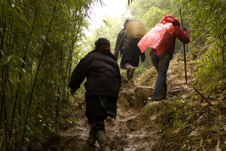 Solo Travel in Vietnam: A Guide to Hiking, Cycling, and Adventuring Alone in the North