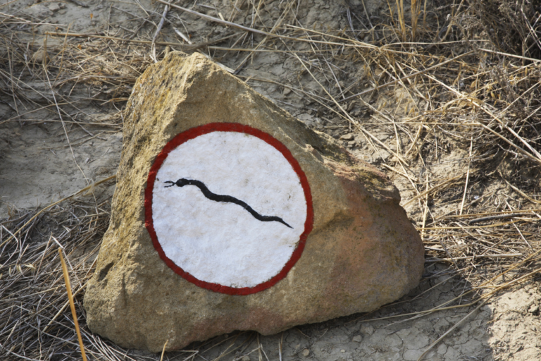 Azerbaijan’s Top National Parks for Nature Lovers