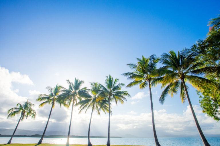 A Road Trip Through Tropical North Queensland: A Journey to Remember