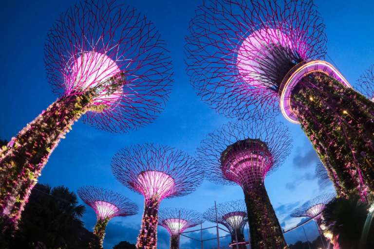 Unique Nightlife Experiences in Singapore