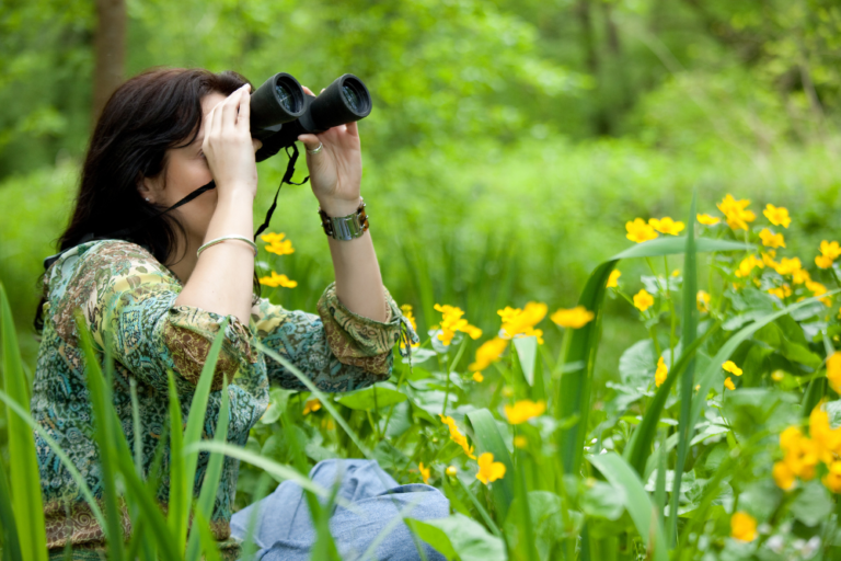 Top Places for Birdwatching in Singapore