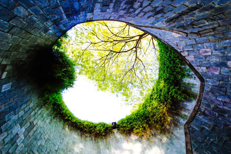 The Best Parks and Green Spaces in Singapore