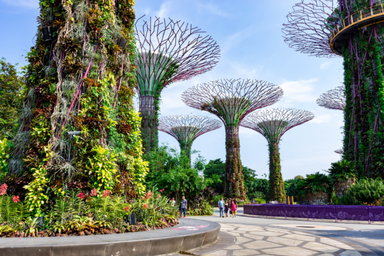 A Guide to Gardens by the Bay: Supertrees and Beyond