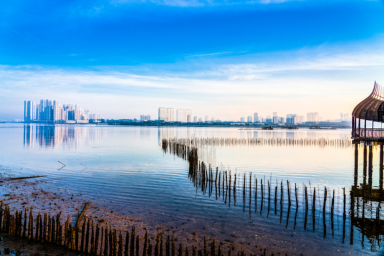 What to See and Do in Orchard Road