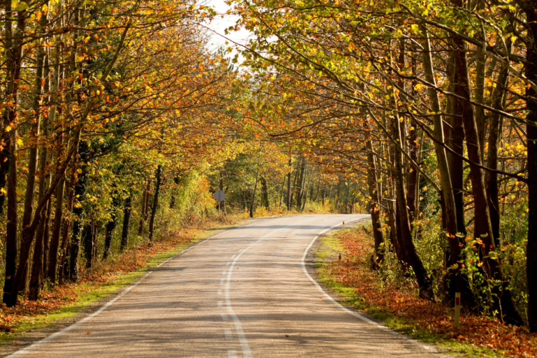 How to Plan a Road Trip Through Italy