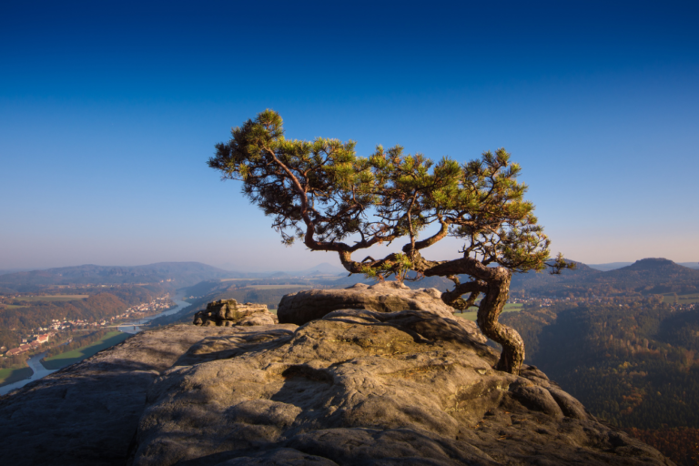 Exploring the Saxon Switzerland National Park: A Hiker’s Paradise