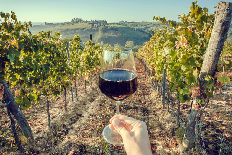 Best Places for Wine Tasting in Italy