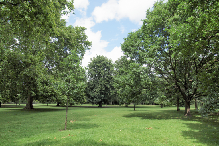 The Best Parks and Gardens in London