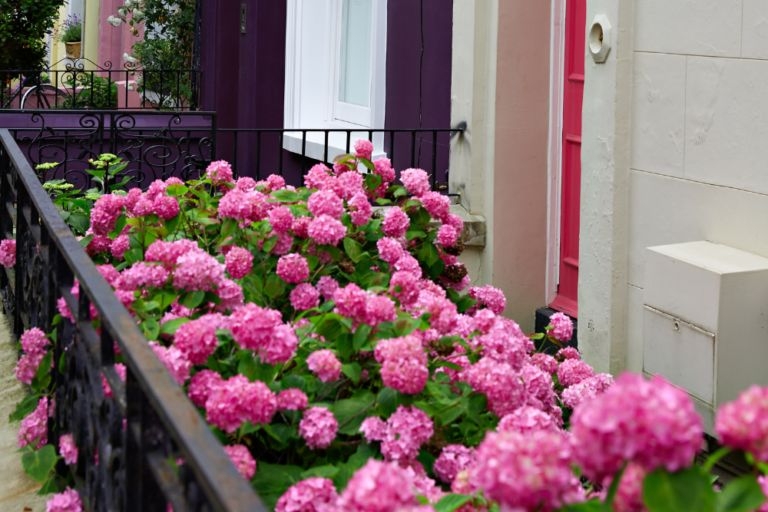 How to Experience London’s Famous Flower Markets