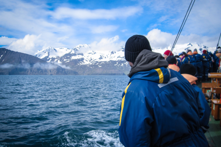 Whale Safaris in Iceland: A Majestic Adventure in the North