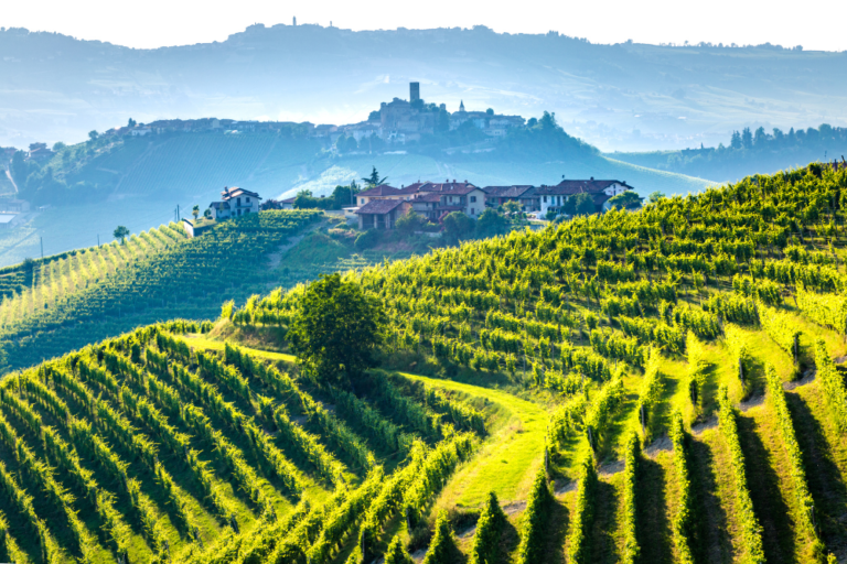 Best Wine Regions in Italy: A Complete Guide for Wine Lovers