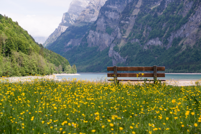 The Science Behind Switzerland’s Pristine Lakes and Rivers