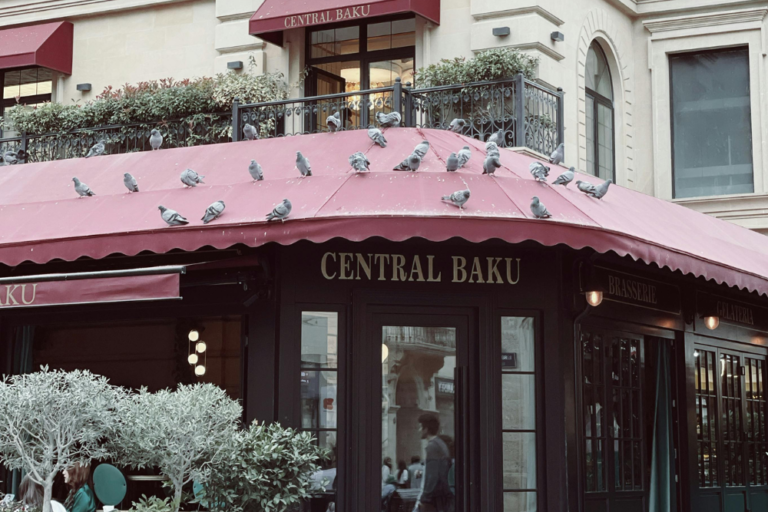 The Best Rooftop Cafés and Restaurants in Baku for Scenic Views