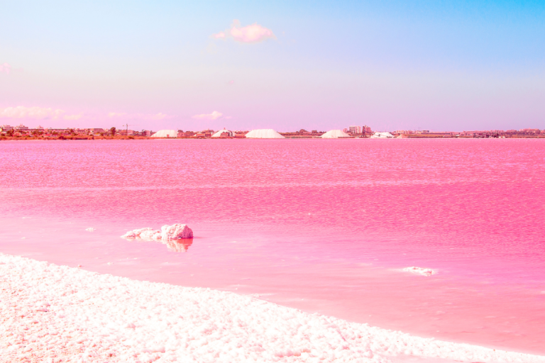 Discovering the Unique Pink Lakes of Western Australia
