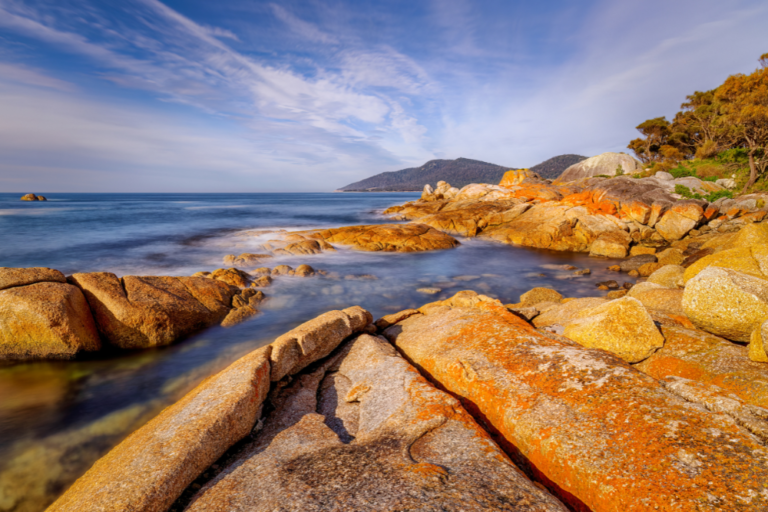 Uluru and Kata Tjuta: A Complete Guide to Australia’s Red Centre