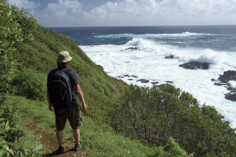 Cradle Mountain: A Hiking and Wildlife Guide