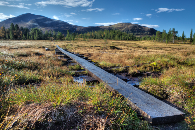Best Hiking Trails in Sweden