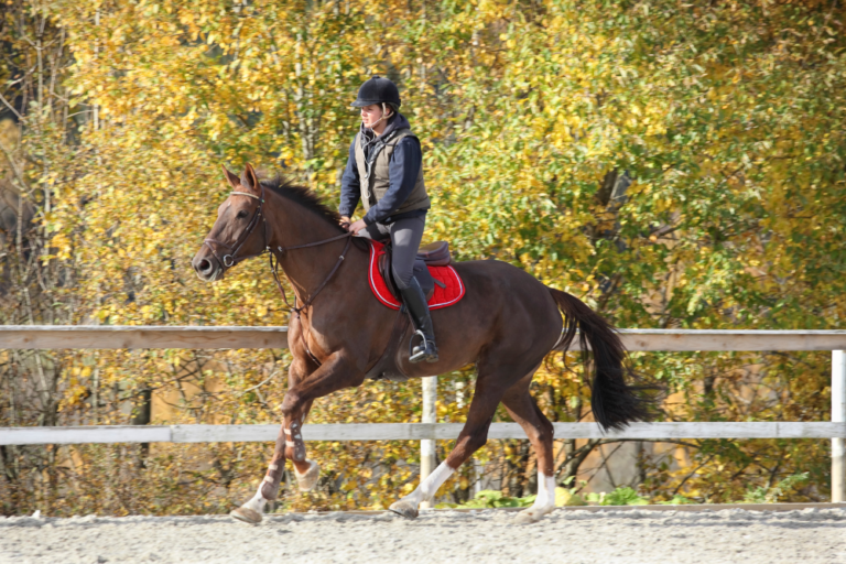 The Most Scenic Train Rides in Norway