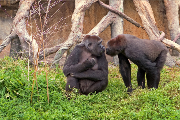 Best Places in France for Nature and Wildlife